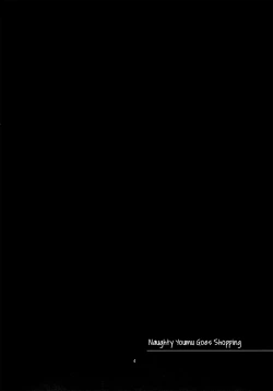 Page 3 of H na Youmu no Okaimono