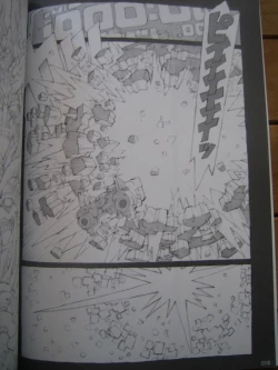 Page 17 of Kaizoku Ojou