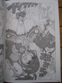 Page 29 of Kaizoku Ojou