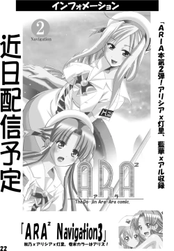 Page 22 of ARA² Navigation 1
