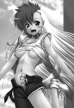 Page 2 of Wanko no daitaian