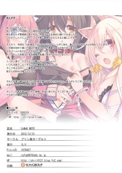 Page 13 of CxMxK Note