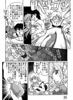 Page 25 of ACCEL QUEEN