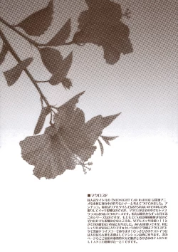 Page 3 of MIDNIGHT CAR RADIO