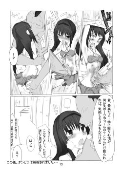 Page 16 of SayaHomu mono.