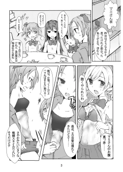 Page 4 of SayaHomu mono.