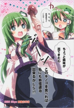 Page 3 of KICHIKU MIKO SANAE ToHo Seirensen Kouryakuhon