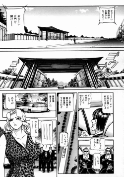 Page 37 of The Bandage Man