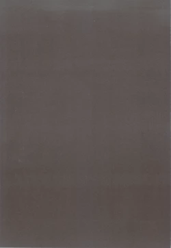 Page 2 of Nisemono 2