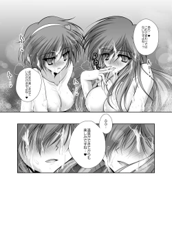 Page 205 of Danshaku Ryou Soushuuhen