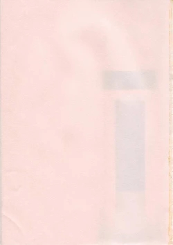 Page 198 of Soukai Engi Twiny-Attraction