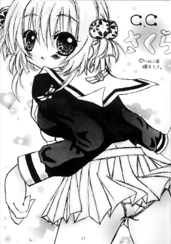 Page 18 of Video Captor TOMOYO 1