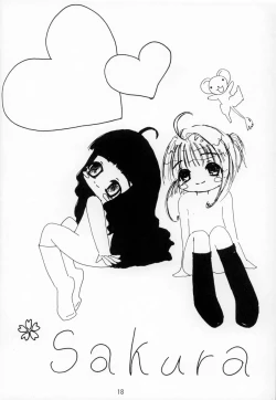 Page 19 of Video Captor TOMOYO 1