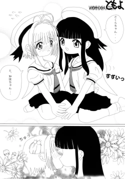 Page 7 of Video Captor TOMOYO 1