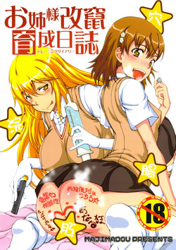 Download Oneesama Kaizan Training Diary