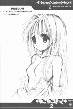 Page 13 of Neko Neko Hatto 2