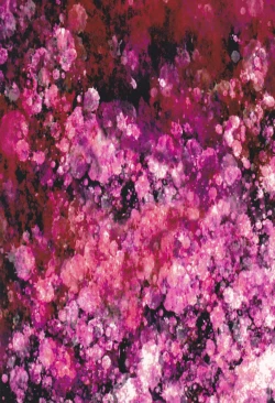 Page 35 of Kuroi Tsuki ni Michibikareenglish