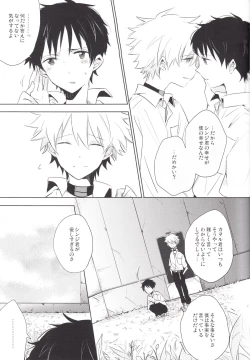 Page 46 of "Q" Hokankeikaku