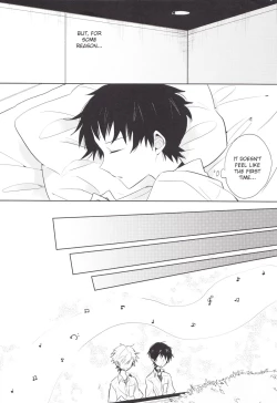 Page 17 of "Q" Hokankeikaku