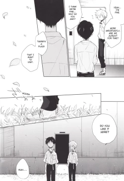 Page 43 of "Q" Hokankeikaku