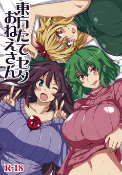 Download Touhou Tateseta Oneesan