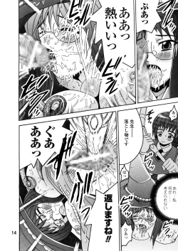 Page 17 of SHIO!EX 14