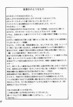 Page 17 of Nekomimi Iinchou