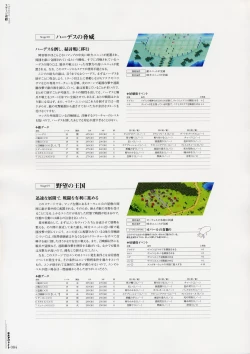 Page 92 of Moldavite Visual Fanbook