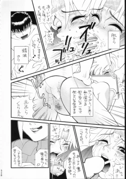 Page 527 of KATZE 15