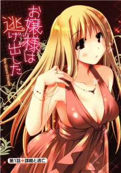 Page 7 of Ojousama wa Nigedashita 1