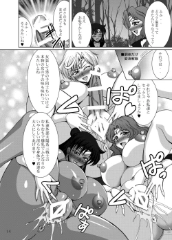 Page 14 of Sailor Fuku Josou Shounen Senshi vs Gaibu Taiyoukei San Senshi