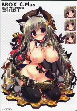 Page 3 of BBOX C-Plus 02