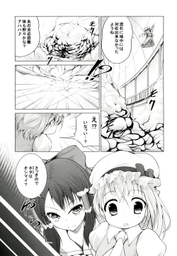 Page 9 of Touhou no hon 2