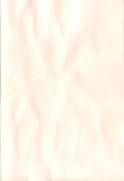 Page 196 of Radical Temptation