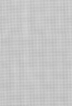 Page 3 of Shota Ninshin