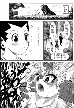 Page 13 of Killua-kun o Seiteki Goumon Suru Hon