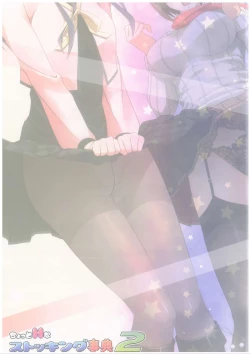 Page 16 of Chotto H na Stocking Jiten 2