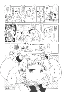 Page 23 of Chibiusa no Himitsu Diary