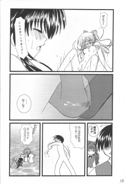 Page 17 of WILD FLOWERS