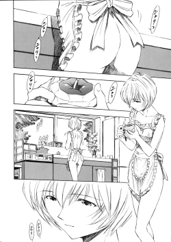 Page 13 of AyanamiShin