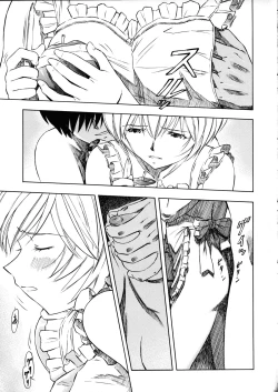 Page 14 of AyanamiShin