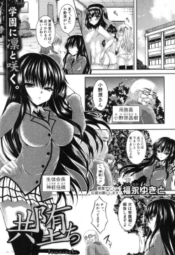 Page 248 of COMIC Shingeki 2012-07