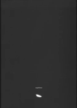 Page 31 of angel's shame