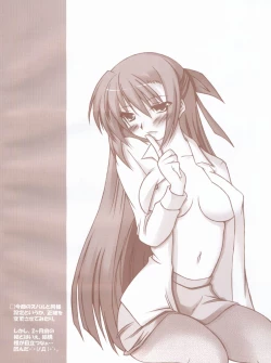 Page 17 of Nanoha-sama to Boku