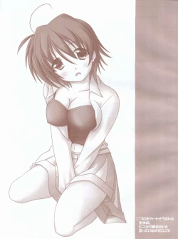 Page 18 of Nanoha-sama to Boku