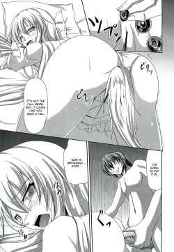 Page 17 of Dai Kikunattara