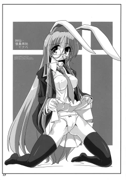 Page 18 of TOHO N+ R/T