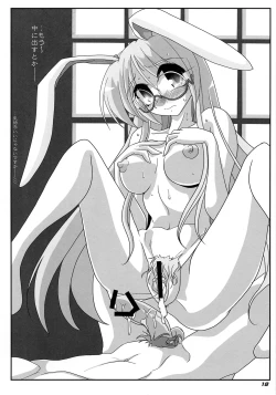 Page 19 of TOHO N+ R/T