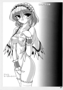 Page 38 of TOHO N+ R/T