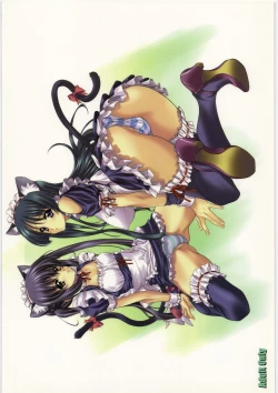 Page 22 of DEMONGEOT 10